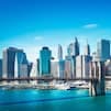 All New York image