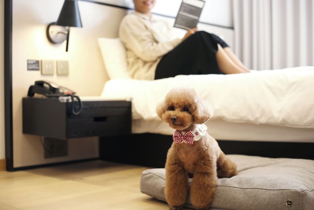 hotel image